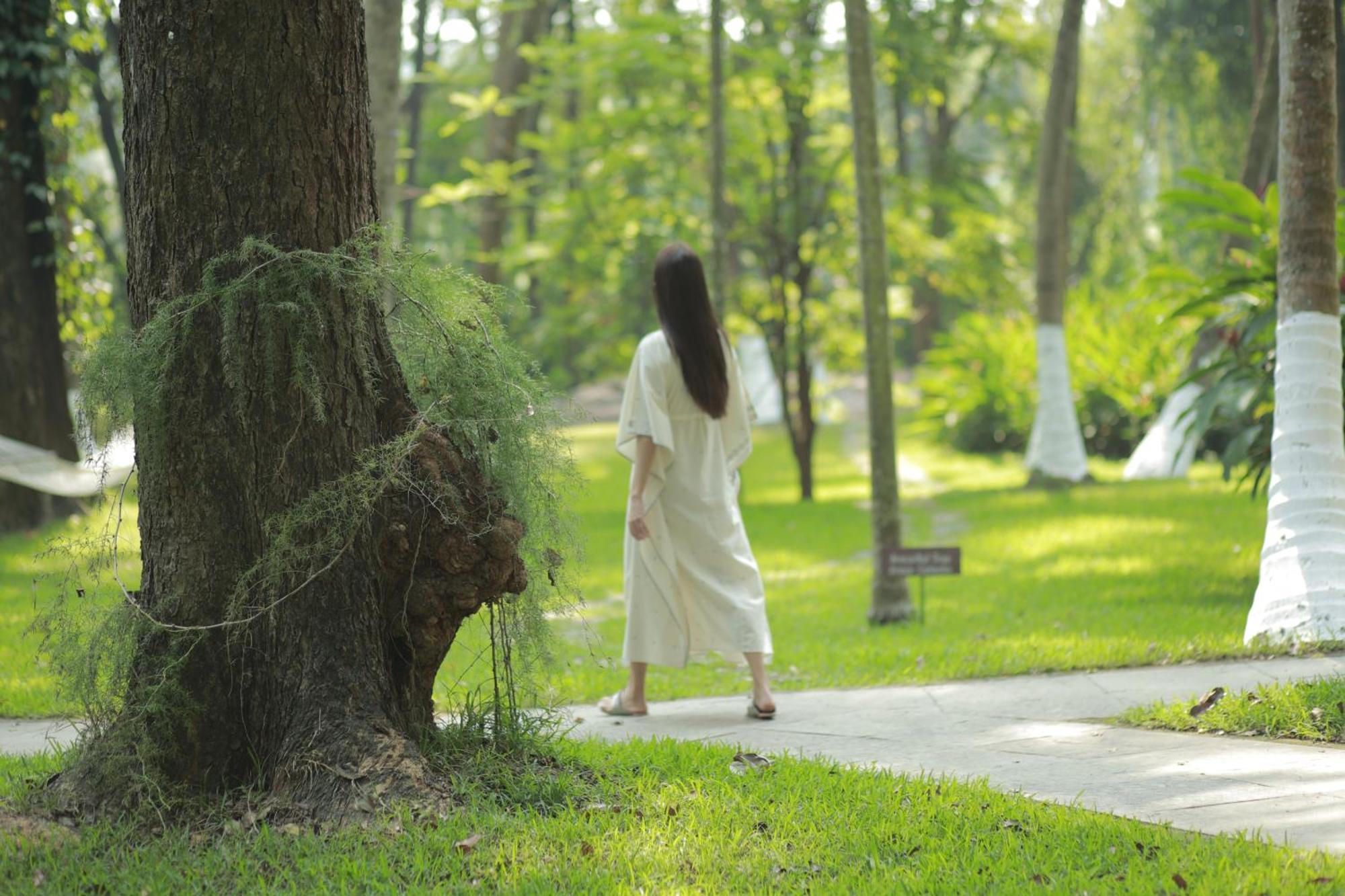 Kairali - The Ayurvedic Healing Village Palakkad Ngoại thất bức ảnh